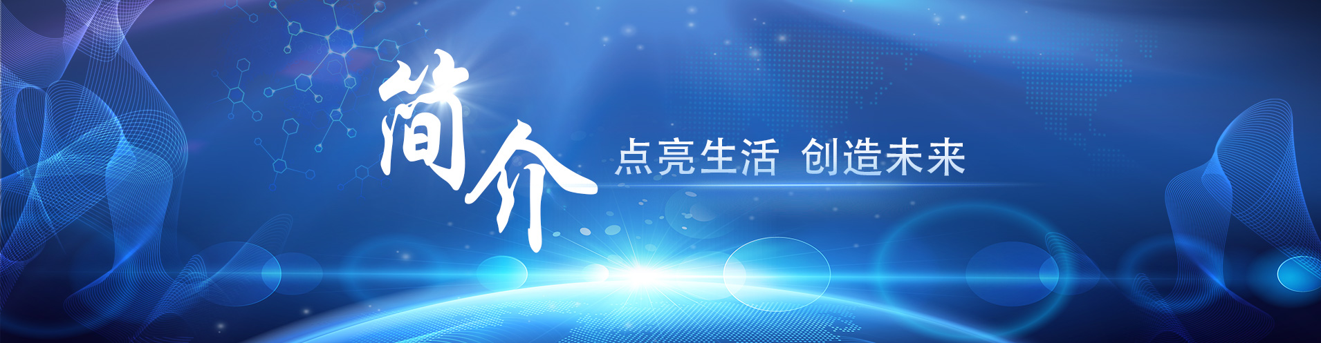 公司简介